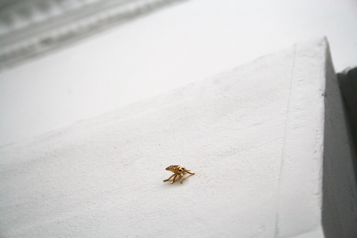 Installation view from Tarje Eikanger Gullaksen's exhibition Act Zero at Krome Gallery