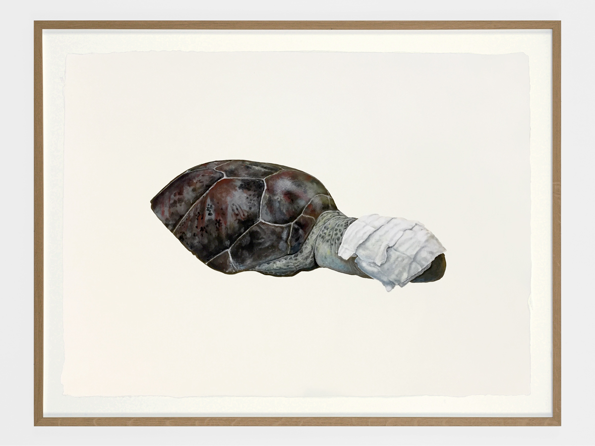 Art Exhibition Black Holes by Tarje Eikanger Gullaksen at Folkeobservatoriet Oslo